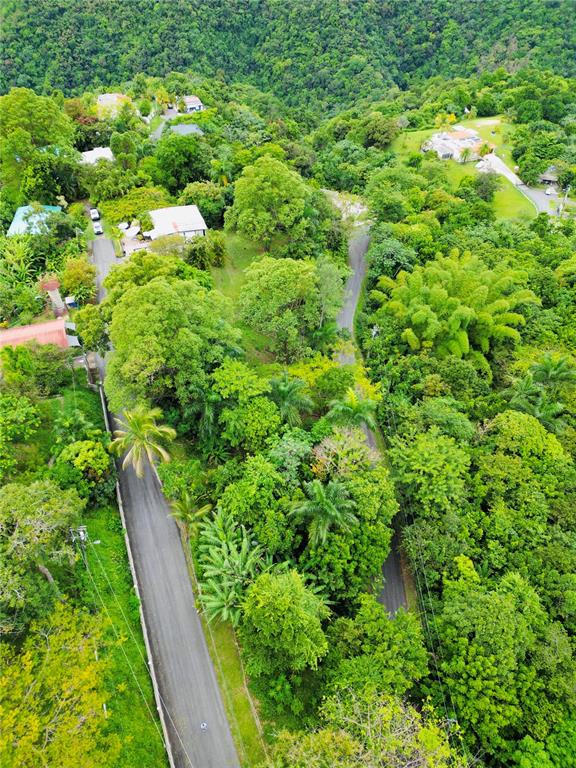 An aerial view shows a winding road surrounded by lush green trees and residential houses — 1-E VILLAS DE MONTE VERDE, PONCE, PR