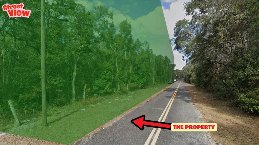A street-level view shows a wooded lot bordered by a paved road — NW 85TH AVENUE, CHIEFLAND, FL