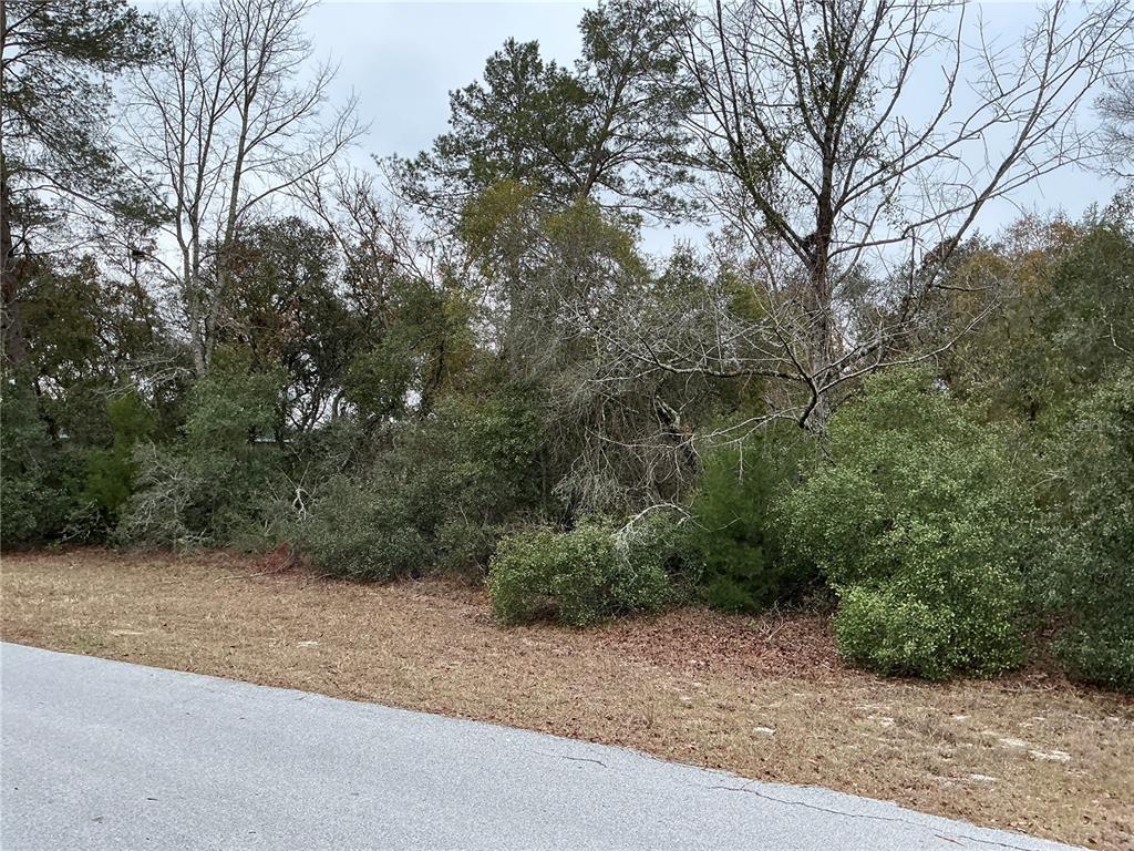 SW 137TH LOOP, OCALA, FL — photo 3 of 5