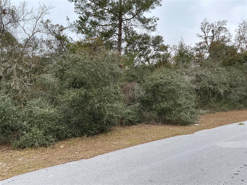 SW 137TH LOOP, OCALA, FL — photo 4 of 5