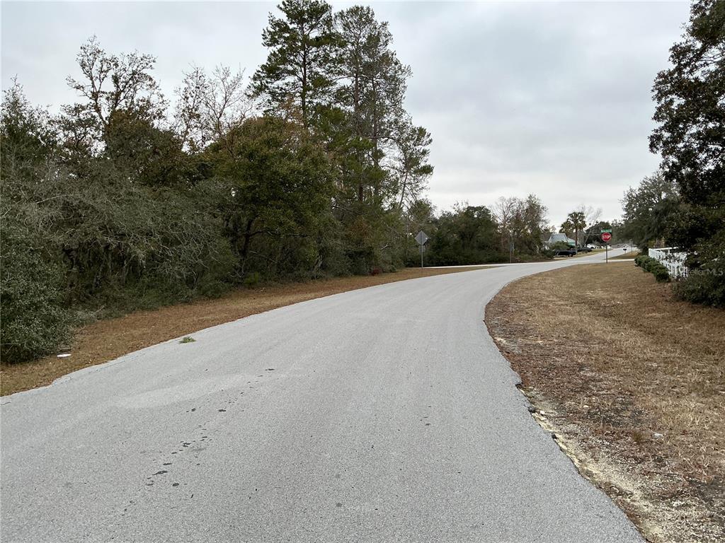 SW 137TH LOOP, OCALA, FL — photo 5 of 5