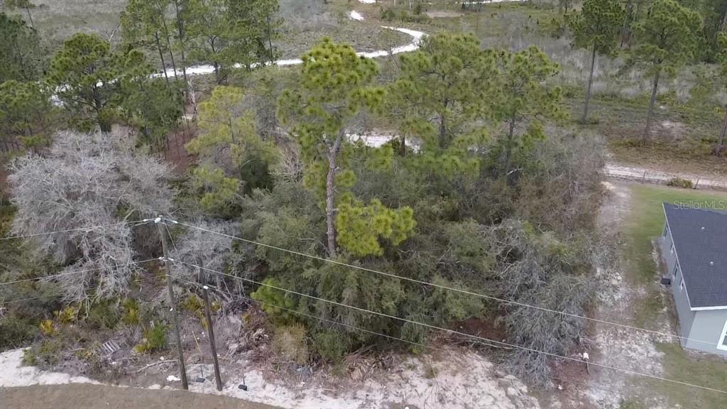 An aerial view shows a wooded lot with pine trees and power lines near a house — 1226 APOPKA LANE, KISSIMMEE, FL