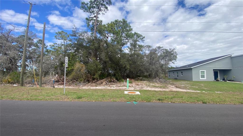A vacant, wooded residential lot sits next to a modern gray house — 1226 APOPKA LANE, KISSIMMEE, FL