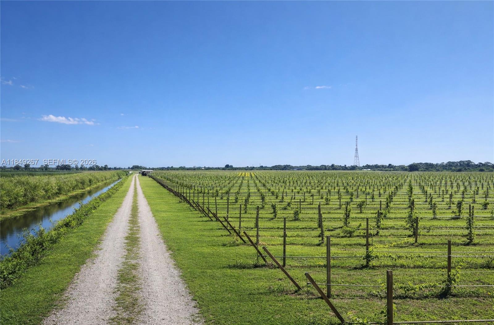A gravel path runs alongside a vineyard and a canal under a clear blue sky — 595 N HEADER CANAL ROAD, Fort Pierce FL 34945, FORT PIERCE, FL