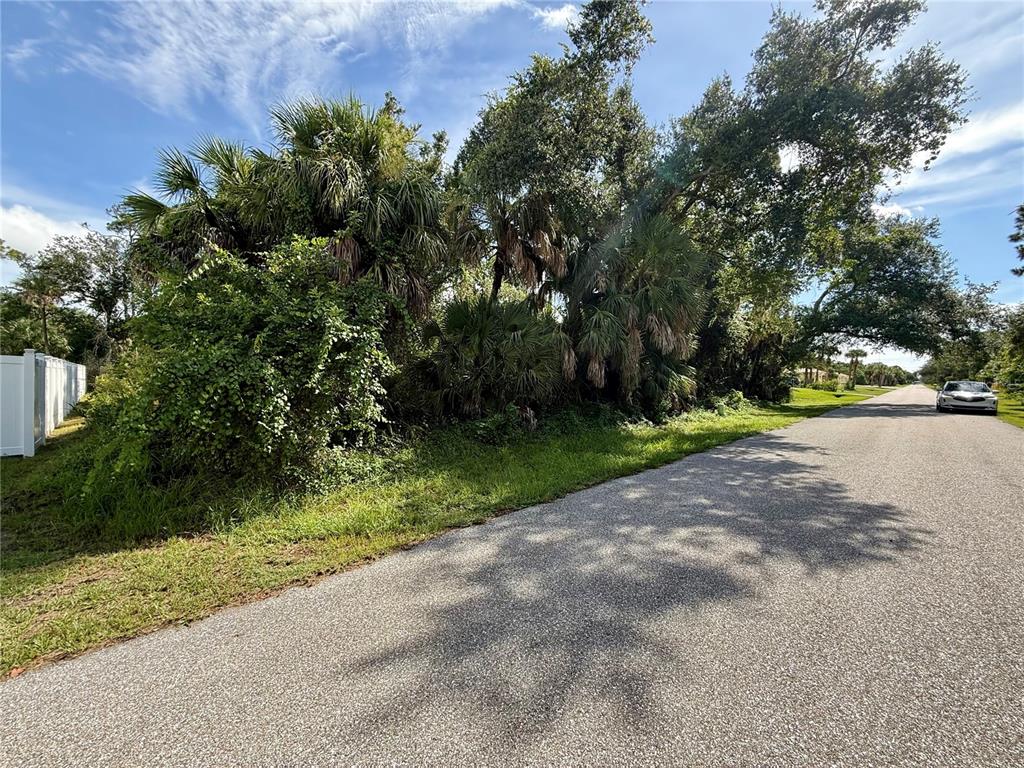 A paved road runs alongside a wooded lot with palm trees and dense vegetation — 16046 GALENA AVE, PORT CHARLOTTE, FL