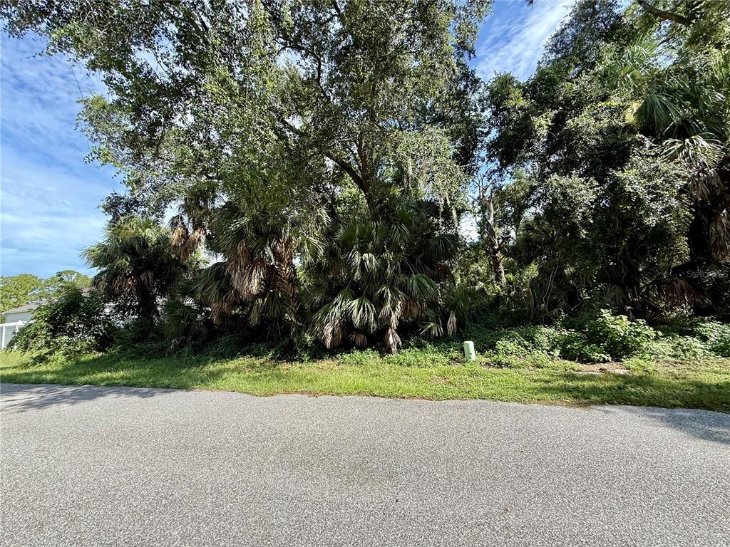 A paved road sits in front of a densely wooded lot with palm trees — 16046 GALENA AVE, PORT CHARLOTTE, FL