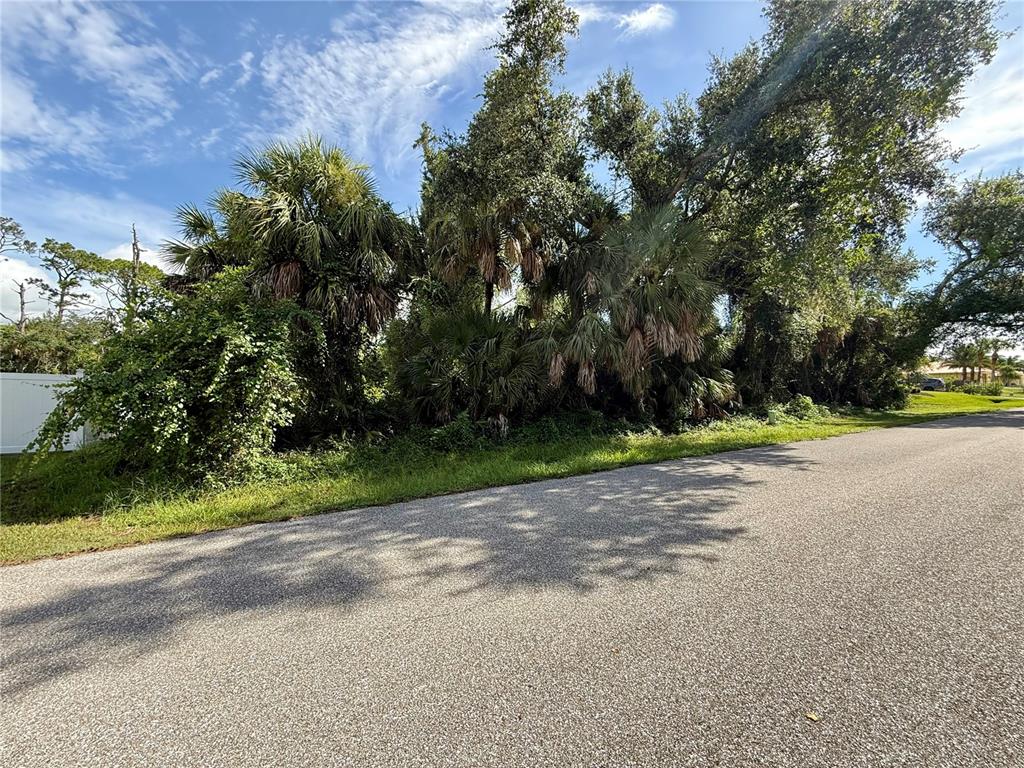 A paved road runs alongside a wooded lot with palm trees and dense vegetation — 16046 GALENA AVE, PORT CHARLOTTE, FL