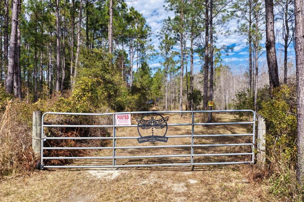 A metal gate with a dragonfly emblem blocks a dirt path into a wooded area — 60 Acres NW CLYATT ROAD, CHIEFLAND, FL