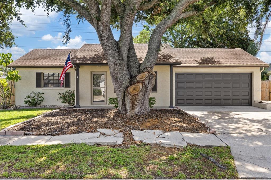 1310 MANDARIN DRIVE, HOLIDAY, FL — photo 4 of 30
