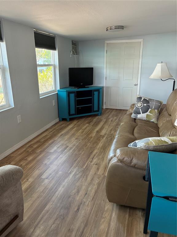 A living room features light gray walls, wood-look flooring, a brown sofa, and a television — 3896 PICCIOLA ROAD UNIT 213, FRUITLAND PARK, FL