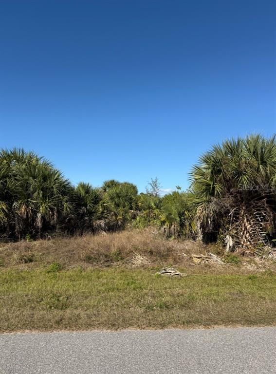 A vacant, grassy lot features dense palm trees and brush under a clear blue sky — 15401 HENNIPEN CIRCLE, PORT CHARLOTTE, FL
