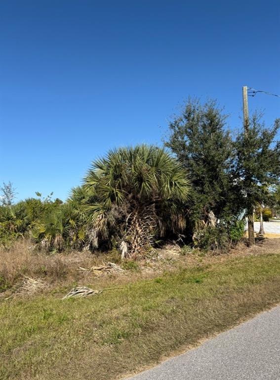 A view of a grassy roadside lot with palm trees and other vegetation under blue skies — 15401 HENNIPEN CIRCLE, PORT CHARLOTTE, FL