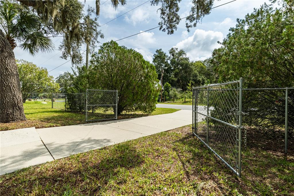A concrete driveway leads through an open chain-link gate toward a tree-lined street — 35737 SHELLEY DRIVE, LEESBURG, FL