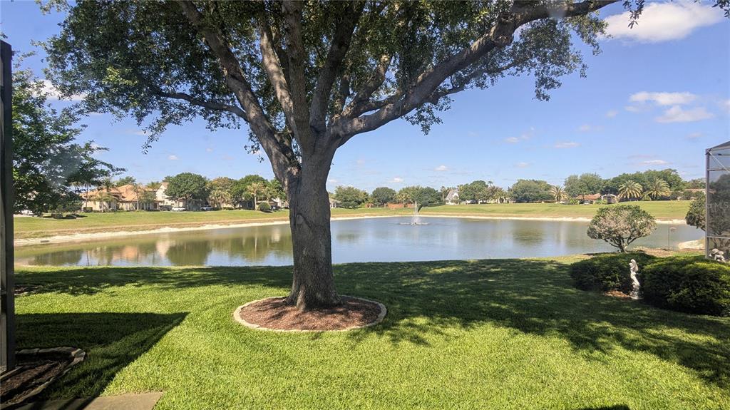 A large tree stands on a grassy lawn overlooking a pond with a fountain — 112 HALLSTROM COURT, DEBARY, FL