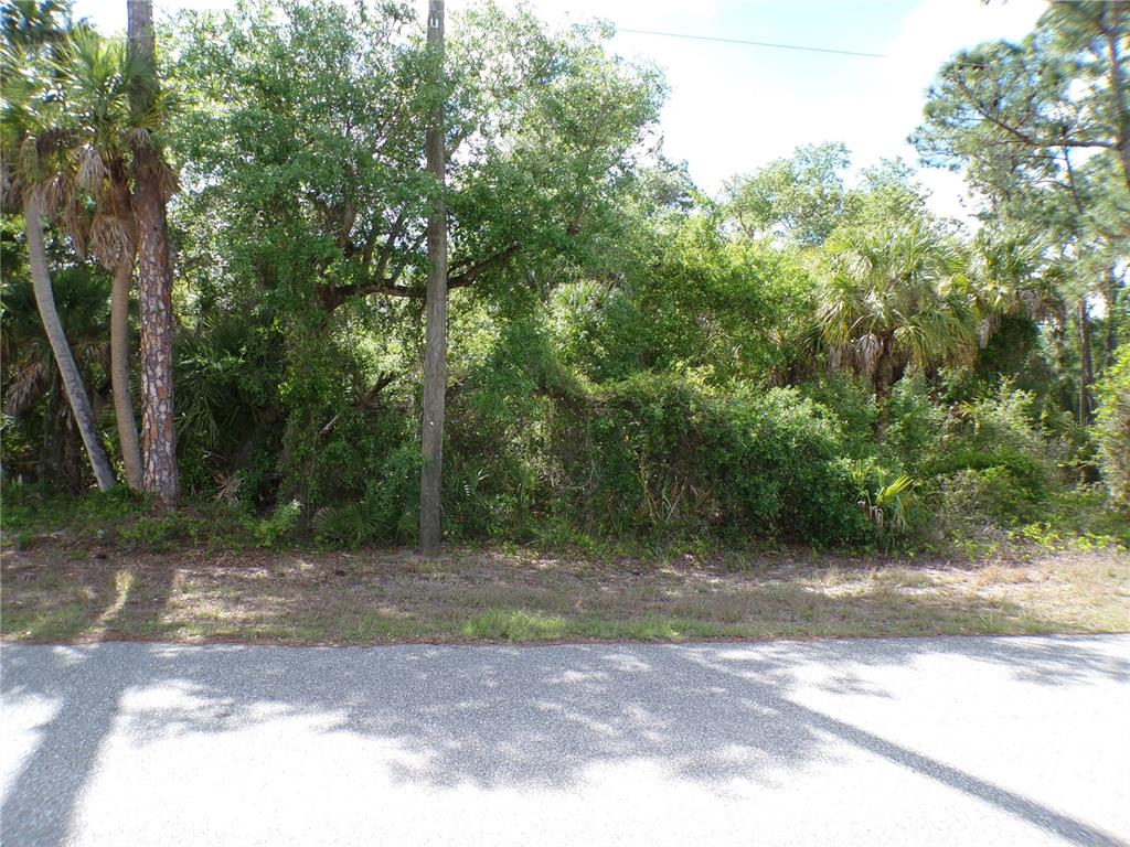 A view of a wooded, undeveloped lot from the edge of an asphalt road — 55 JUSTINE STREET, PORT CHARLOTTE, FL