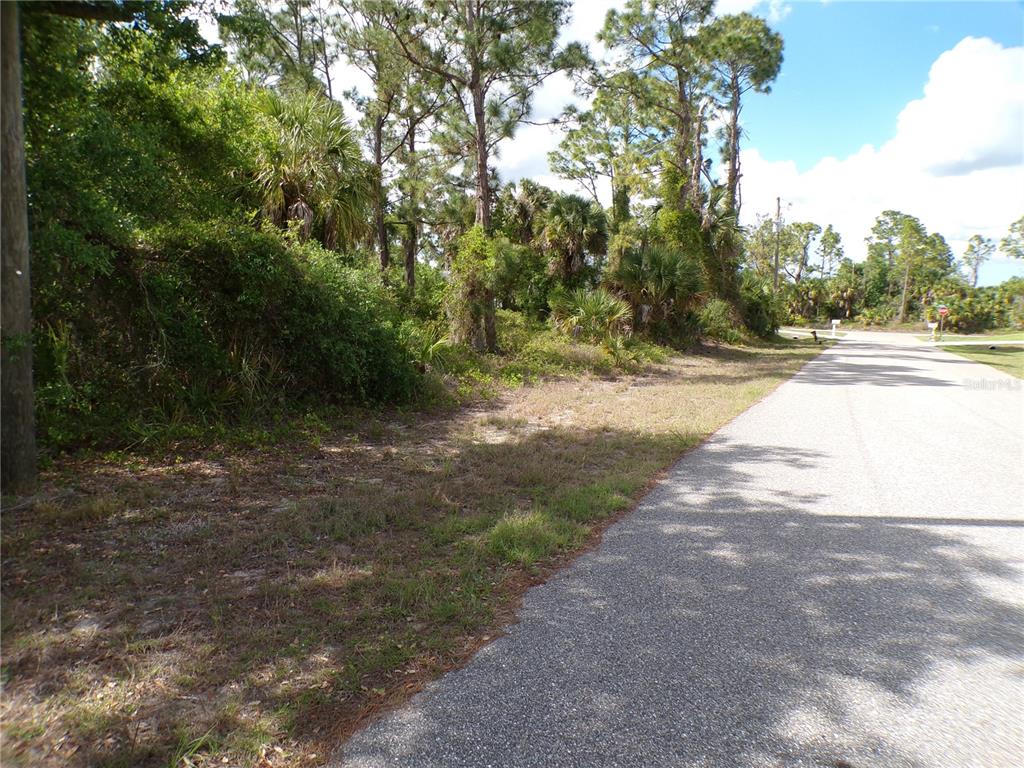 A vacant, wooded lot sits alongside a paved road under a partly cloudy sky — 55 JUSTINE STREET, PORT CHARLOTTE, FL