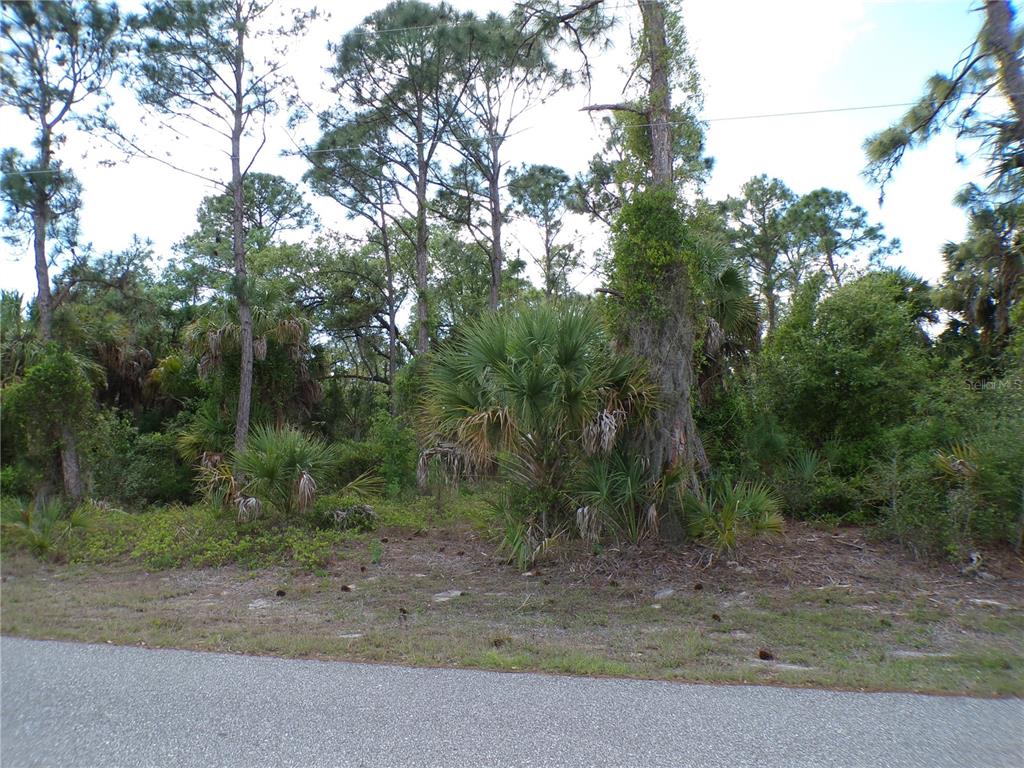 A wooded, undeveloped lot with tall pine trees and palmettos sits beside a paved road — 55 JUSTINE STREET, PORT CHARLOTTE, FL
