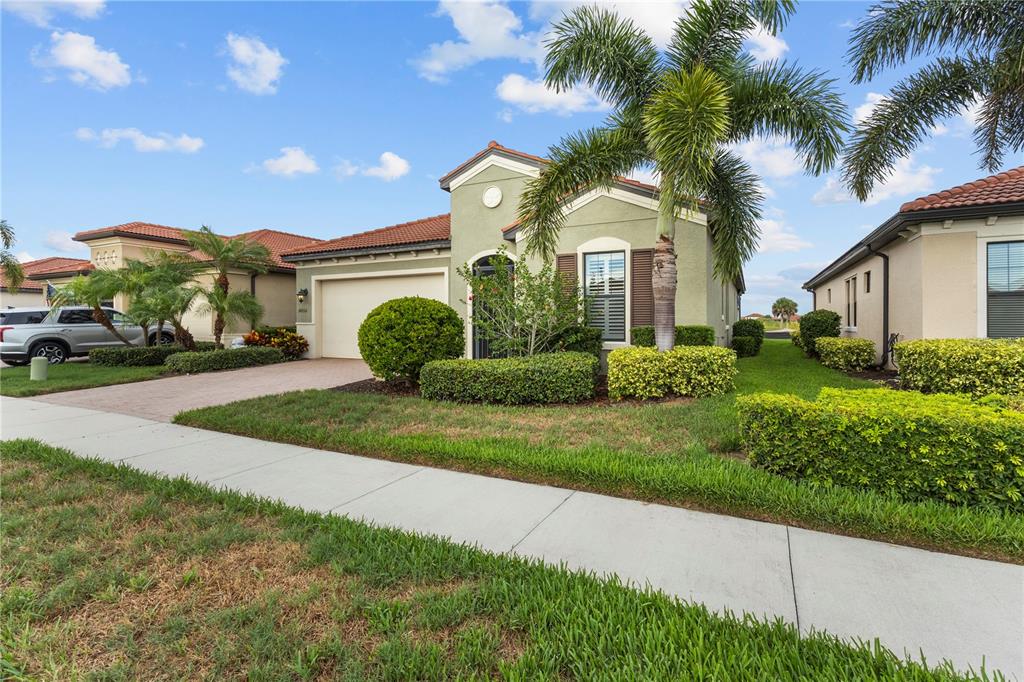A single-story house with a green stucco exterior, a tile roof, and a palm tree — 24252 GALLBERRY DRIVE, VENICE, FL