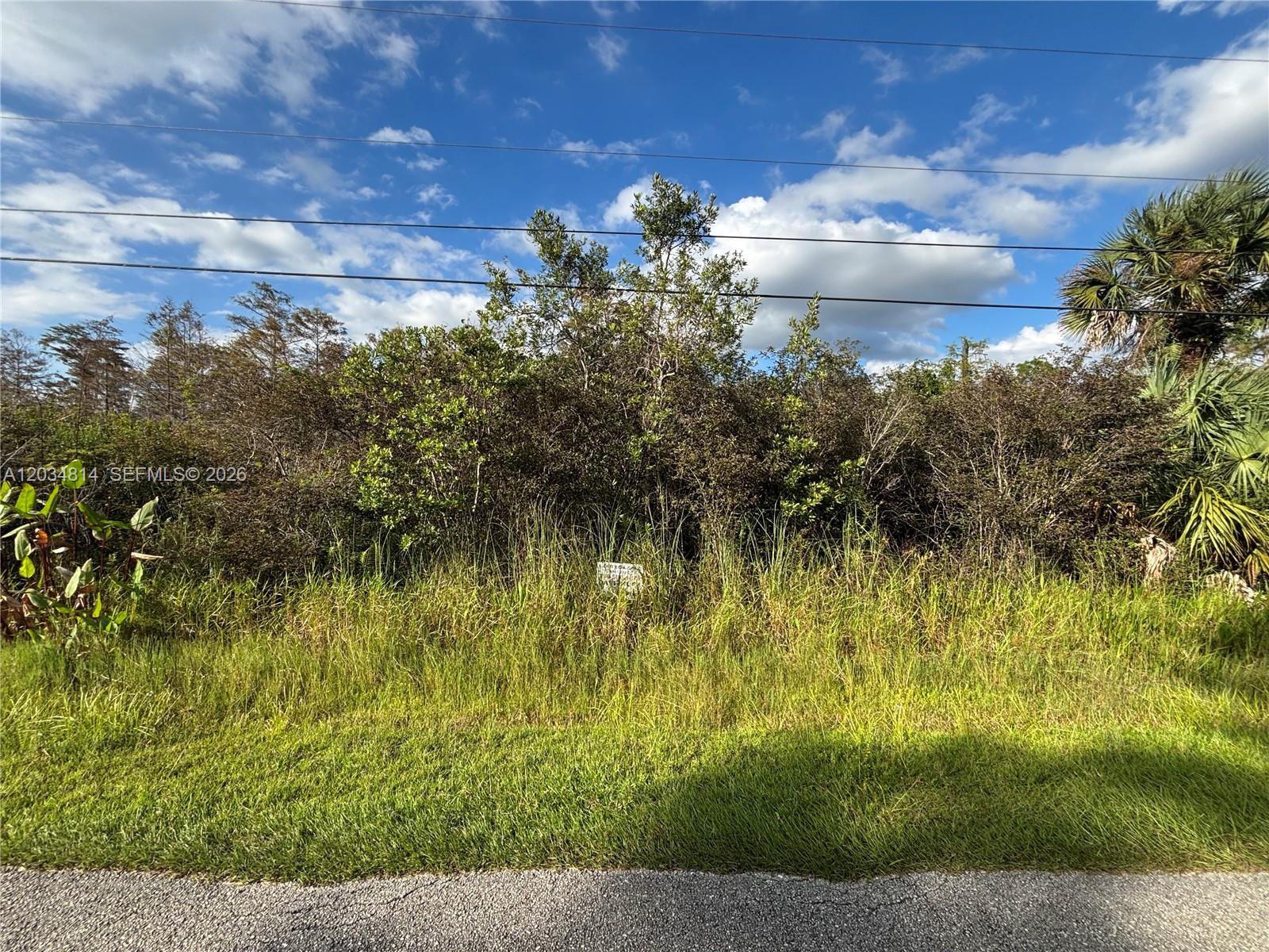 A vacant, overgrown lot with tall grass and dense trees under a blue sky — XXX.37 TH AVE NE, Naples FL 34120, NAPLES, FL
