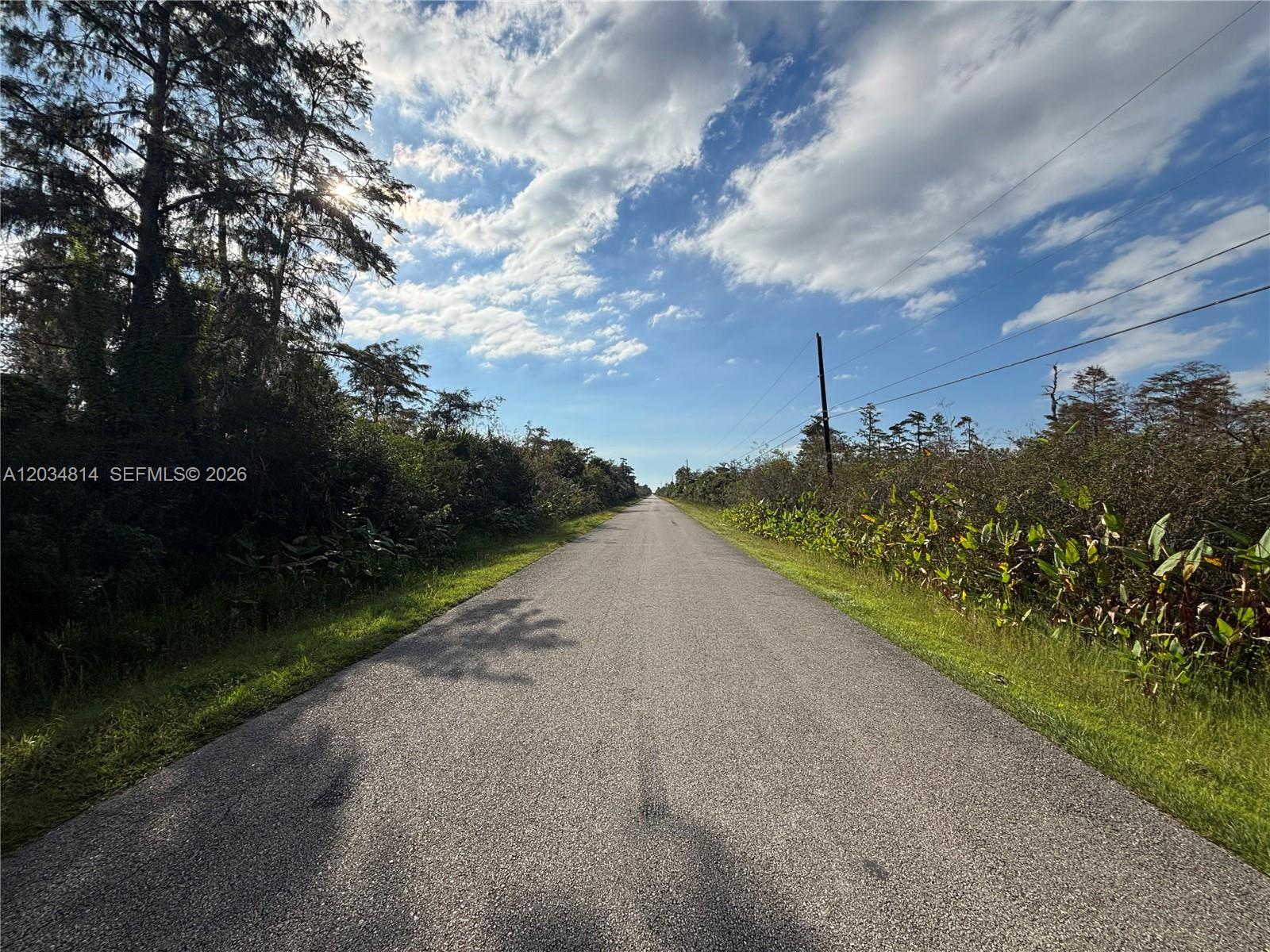A paved road stretches into the distance, flanked by dense trees and low-lying vegetation — XXX.37 TH AVE NE, Naples FL 34120, NAPLES, FL