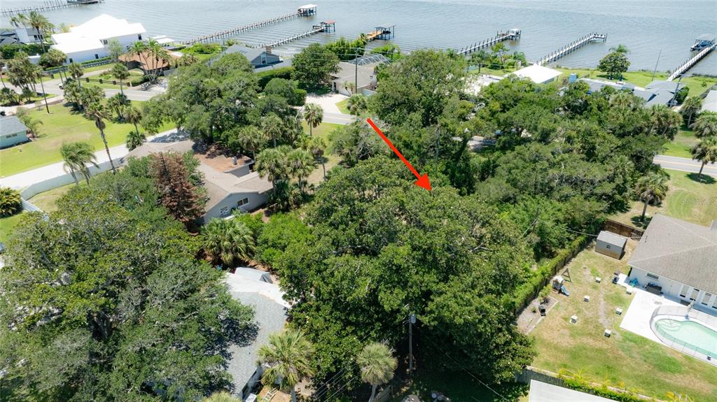 An aerial view shows a large tree with a red arrow pointing toward its canopy — 1287 JOHN ANDERSON DRIVE, ORMOND BEACH, FL