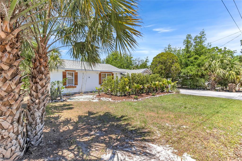 A white single-story house with wooden shutters sits behind a landscaped yard and palm trees — 3560 MARTIN AVENUE, MOUNT DORA, FL