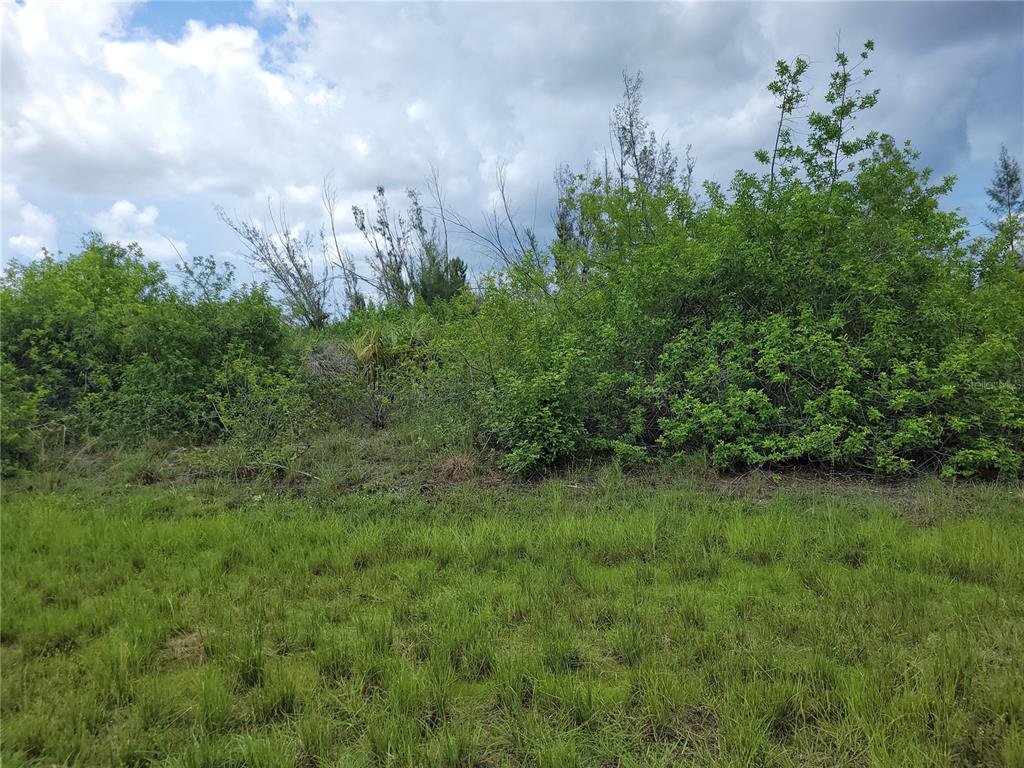 A grassy lot features dense green shrubs and trees under a cloudy sky — 10136 AMY TERRACE, PORT CHARLOTTE, FL