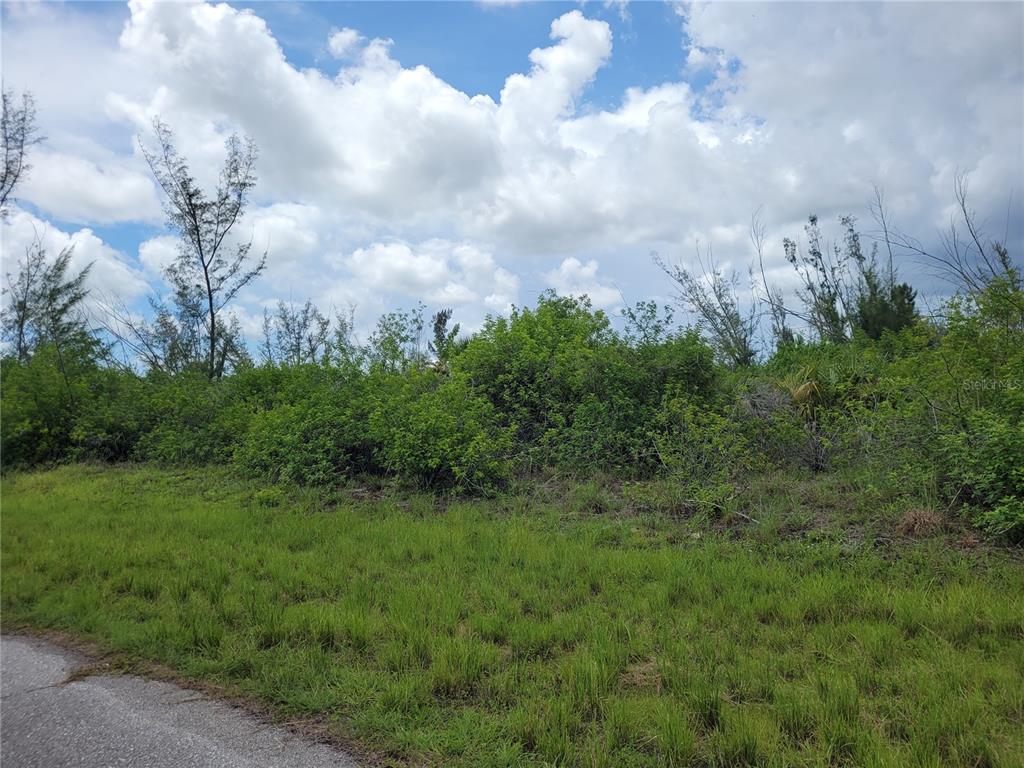 A grassy roadside leads to a dense, overgrown lot filled with shrubs and tall trees — 10136 AMY TERRACE, PORT CHARLOTTE, FL