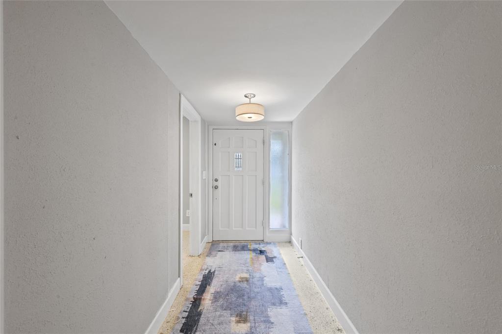 A hallway with light gray walls, a patterned runner rug, and a white front door — 409 DEBRA DRIVE, BRANDON, FL