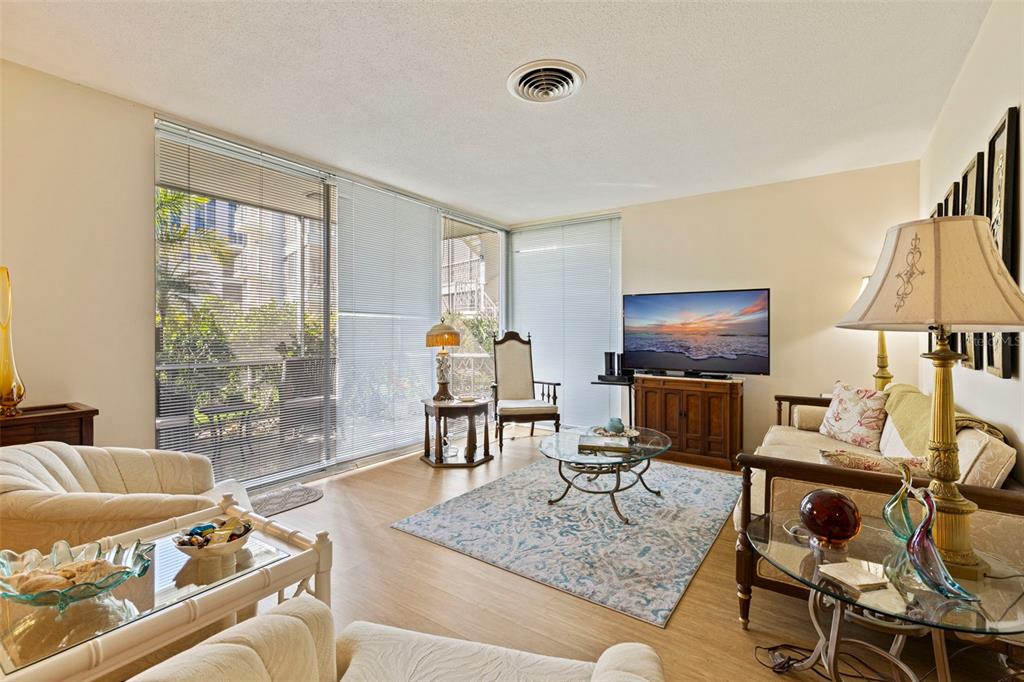 A living room features light wood flooring, a patterned area rug, and large sliding glass doors — 1036 NORTH SHORE DRIVE NE UNIT 1, ST PETERSBURG, FL