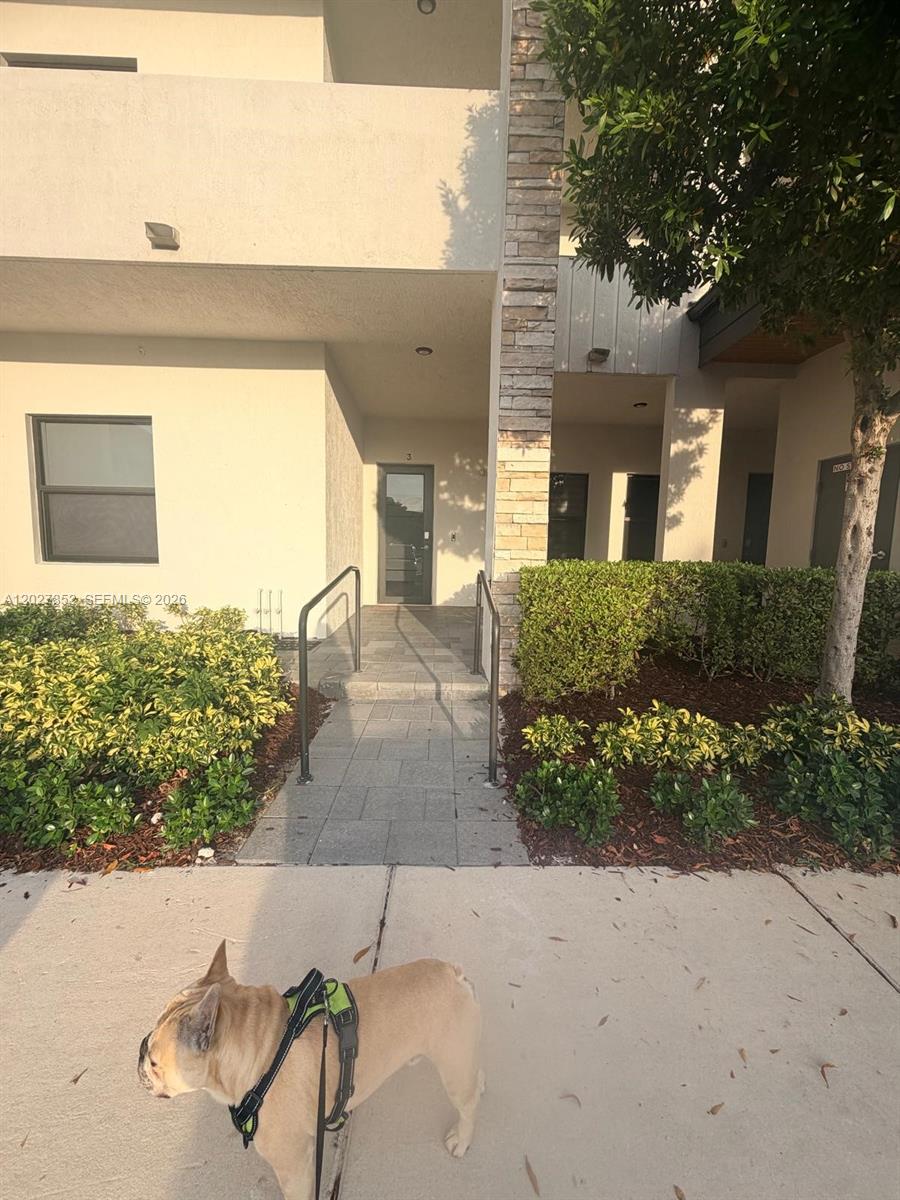 A tan dog stands on a sidewalk in front of a building entrance with stone accents — 8005 NW 104th Ave # 3, Doral FL 33178, DORAL, FL