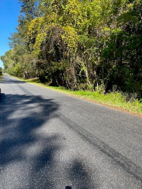 A paved road runs alongside a wooded area with green and yellow foliage — 19611 NW 75TH STREET, ALACHUA, FL