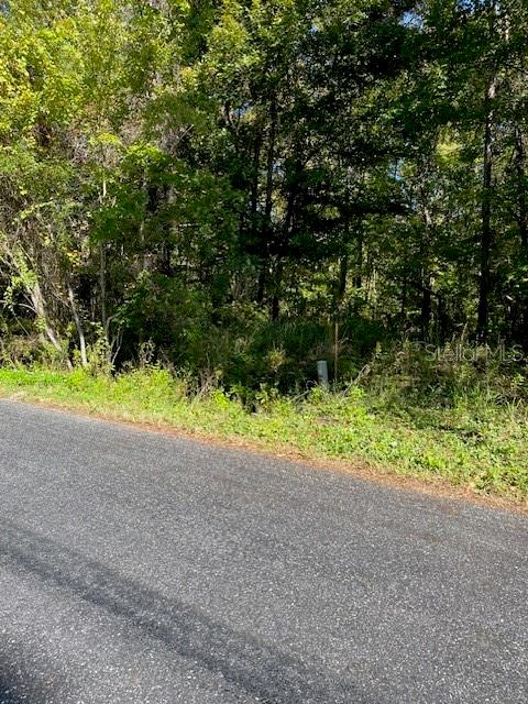 A paved road runs alongside a wooded lot with dense trees and vegetation — 19611 NW 75TH STREET, ALACHUA, FL