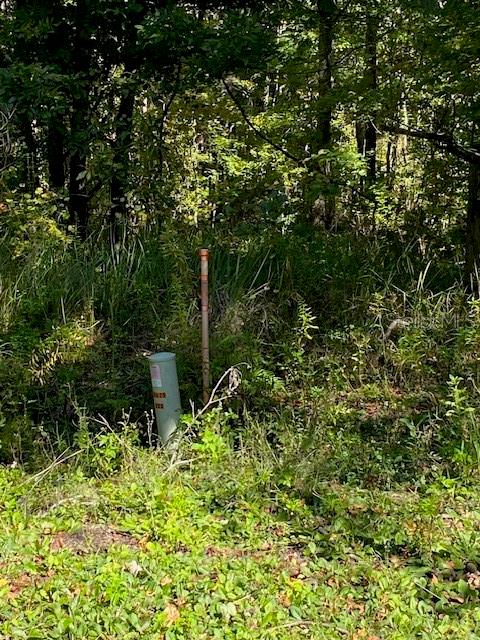 A utility pedestal and a tall marker post stand in a wooded, overgrown area — 19611 NW 75TH STREET, ALACHUA, FL