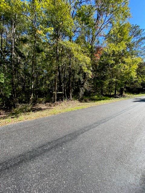 A paved road runs alongside a wooded lot with dense green trees — 19611 NW 75TH STREET, ALACHUA, FL