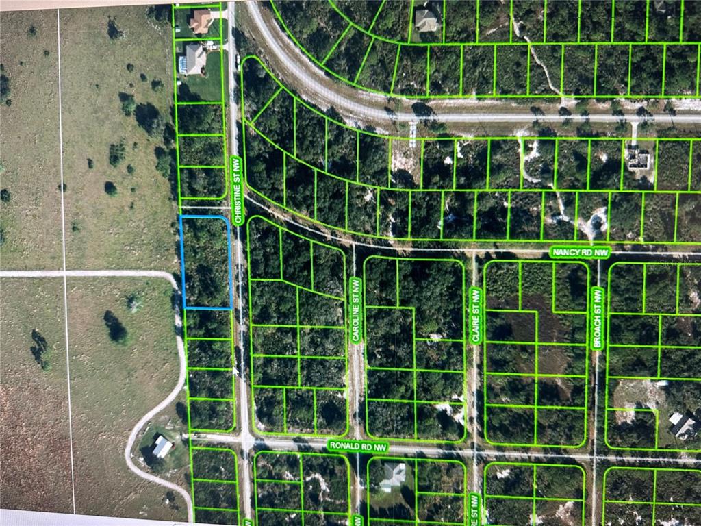 This is an aerial map showing a highlighted vacant lot among other subdivided land parcels — 316 CHRISTINE STREET NW, LAKE PLACID, FL