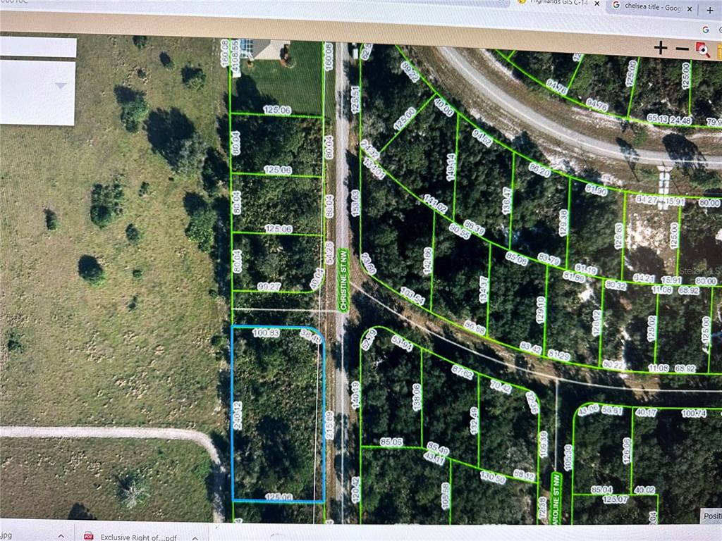 This is a digital map showing property boundaries and lot dimensions for a residential area — 316 CHRISTINE STREET NW, LAKE PLACID, FL