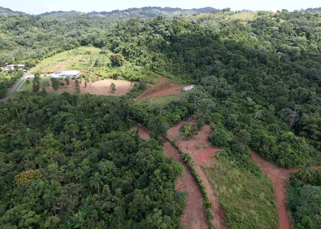 An aerial view shows a dirt road winding through a lush, hilly, and forested landscape — 14, CAMINO FRANK ORTIZ KM 12.3, MAYAGUEZ, PR