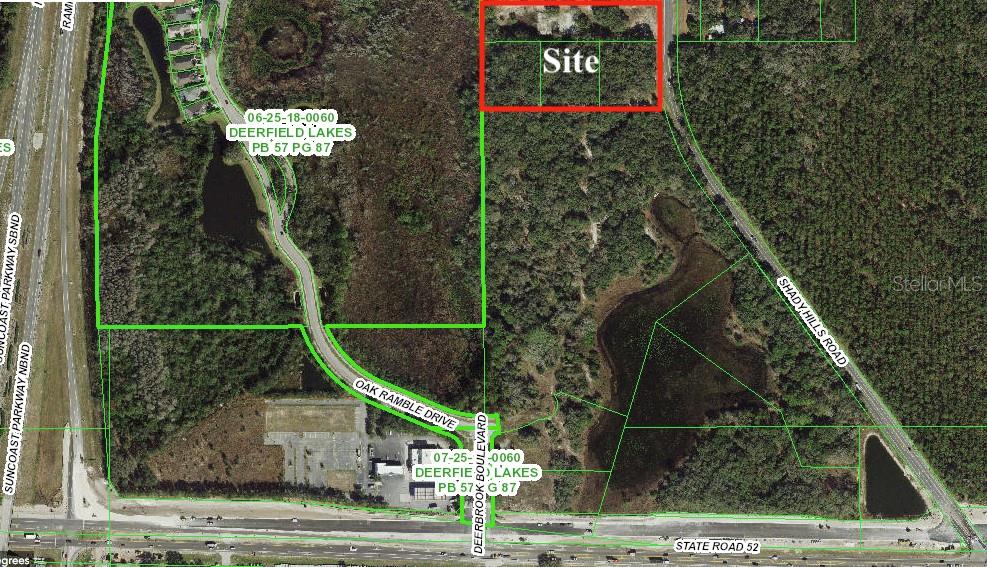 This is an aerial map showing a rectangular site outlined in red near a road — 12231 SHADY HILLS ROAD, SPRING HILL, FL