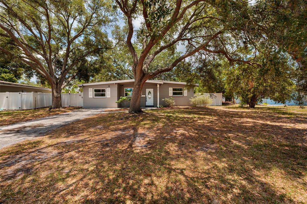 A single-story gray house sits behind a large tree on a grassy lot — 5601 CEDAR STREET NE, ST PETERSBURG, FL