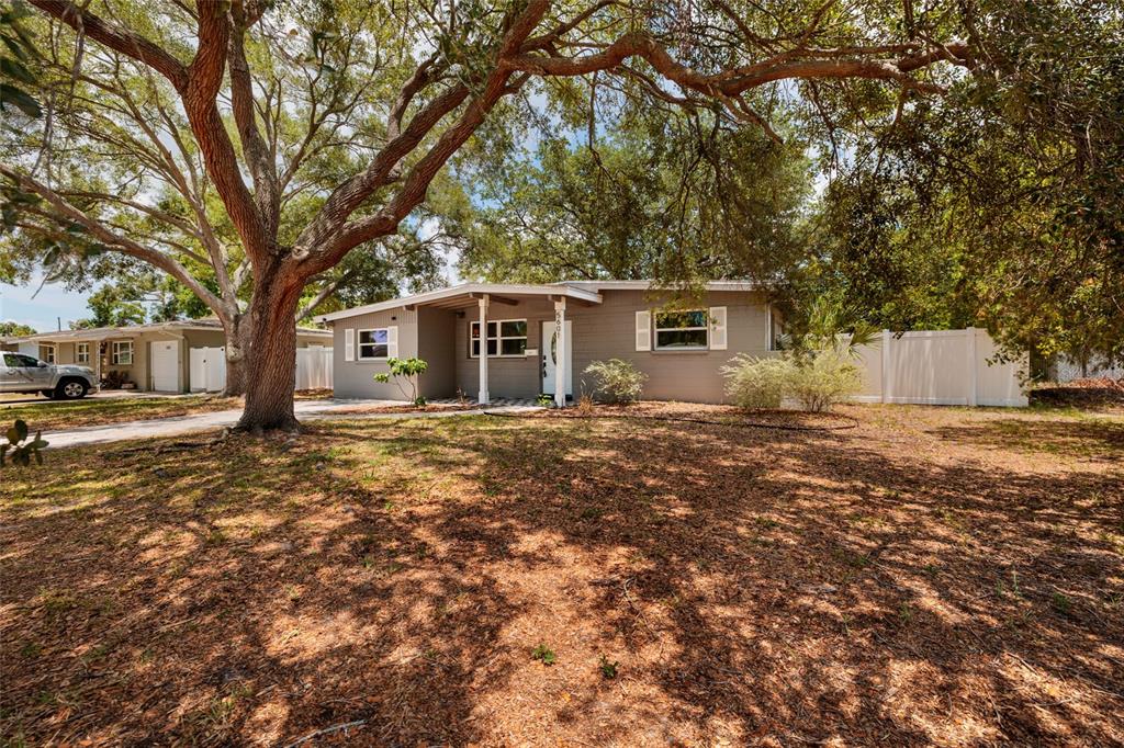 A single-story gray house with a white front door sits under large oak trees — 5601 CEDAR STREET NE, ST PETERSBURG, FL