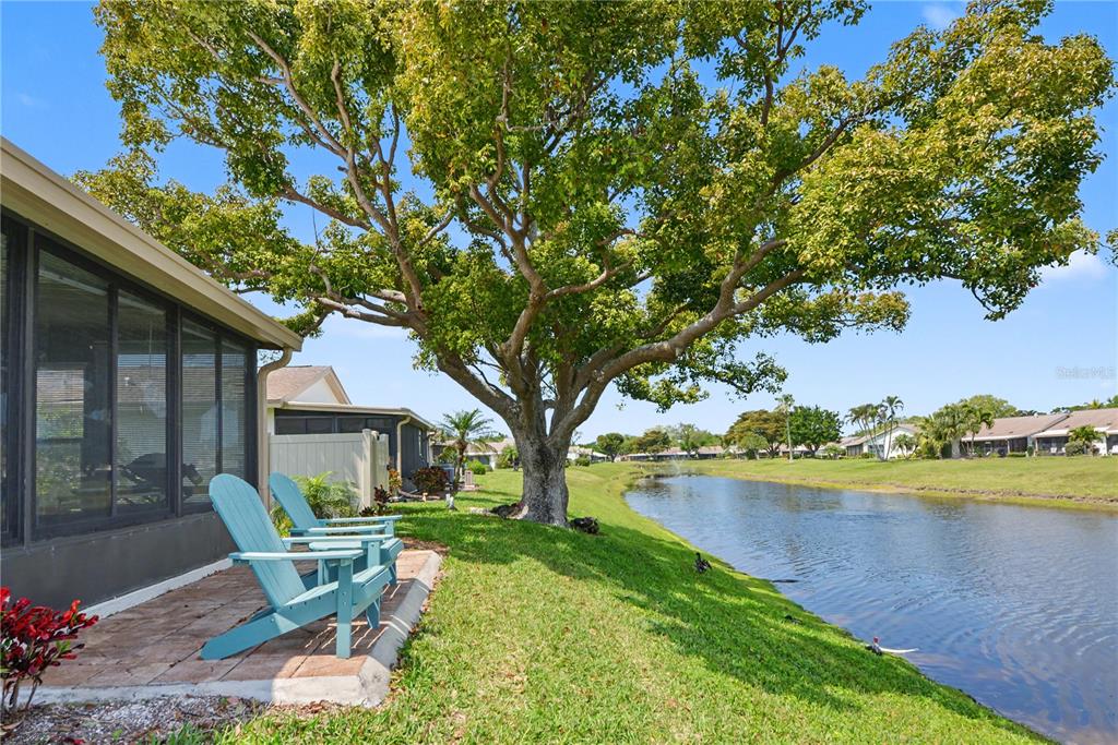 A patio with two blue chairs overlooks a canal next to a large tree — 6220 29TH AVENUE W UNIT 6220, BRADENTON, FL