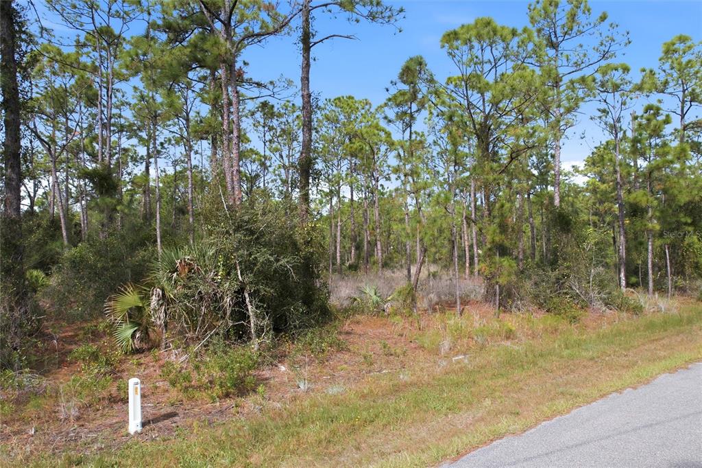 EINSTEIN STREET, NORTH PORT, FL — photo 2 of 11