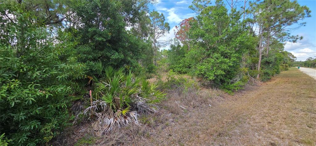 A wooded, undeveloped lot with native vegetation borders a dirt road under a cloudy sky — 27408 MANDALAY DRIVE, PUNTA GORDA, FL