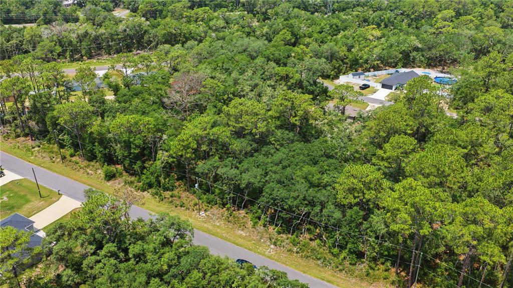 An aerial view shows a wooded, undeveloped lot situated between residential houses and a road — TBD LOCUST TERRACE TRAIL Lot 12, OCALA, FL