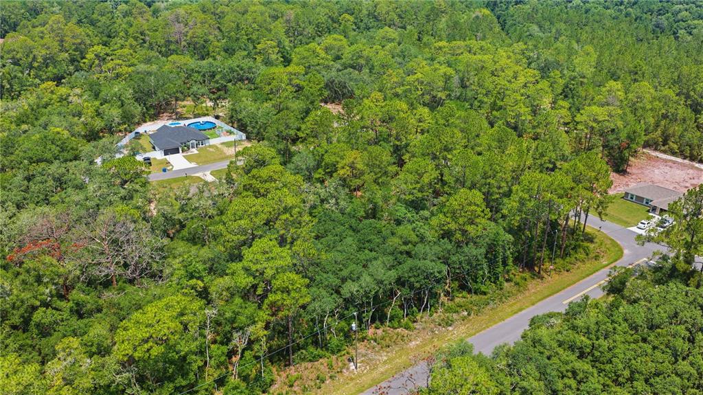 An aerial view shows two houses nestled within a dense, wooded residential area — TBD LOCUST TERRACE TRAIL Lot 12, OCALA, FL