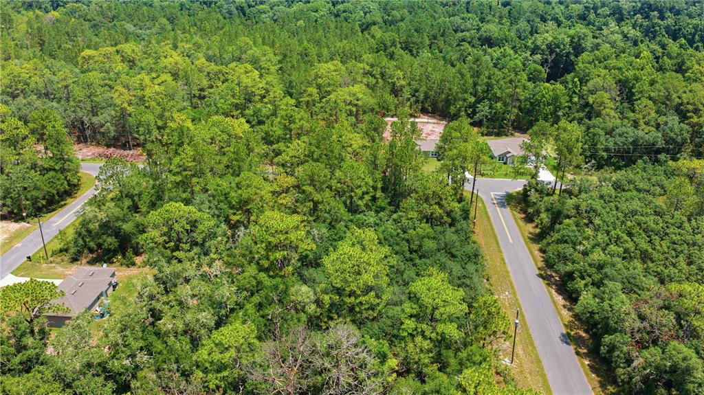 An aerial view shows a paved road winding through a wooded area with two houses — TBD LOCUST TERRACE TRAIL Lot 12, OCALA, FL