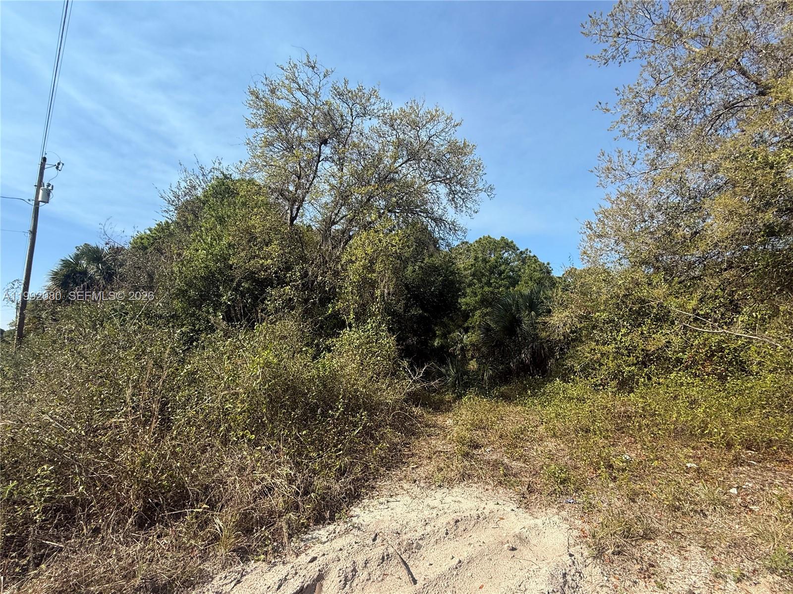 A dirt path leads into a dense, overgrown wooded area under a clear blue sky — 240 S ESTRIBO ST, Clewiston FL 33440, CLEWISTON, FL