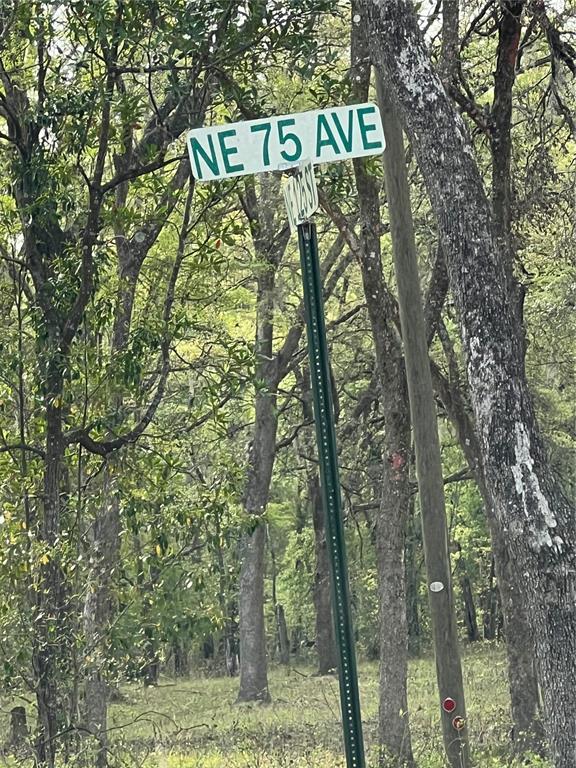A street sign reading NE 75 AVE stands on a metal post among wooded trees — 0000 NE 125TH STREET, BRONSON, FL