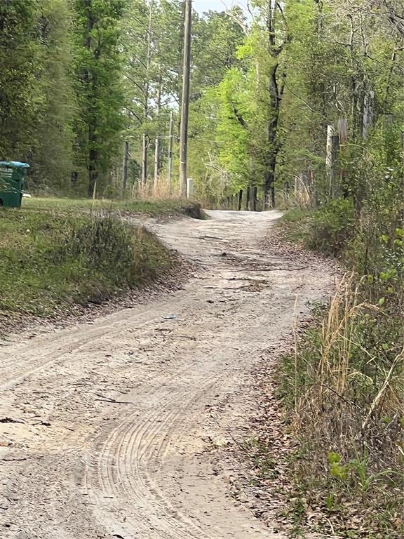 A dirt road winds through a wooded area with a green trash bin on the left — 0000 NE 125TH STREET, BRONSON, FL